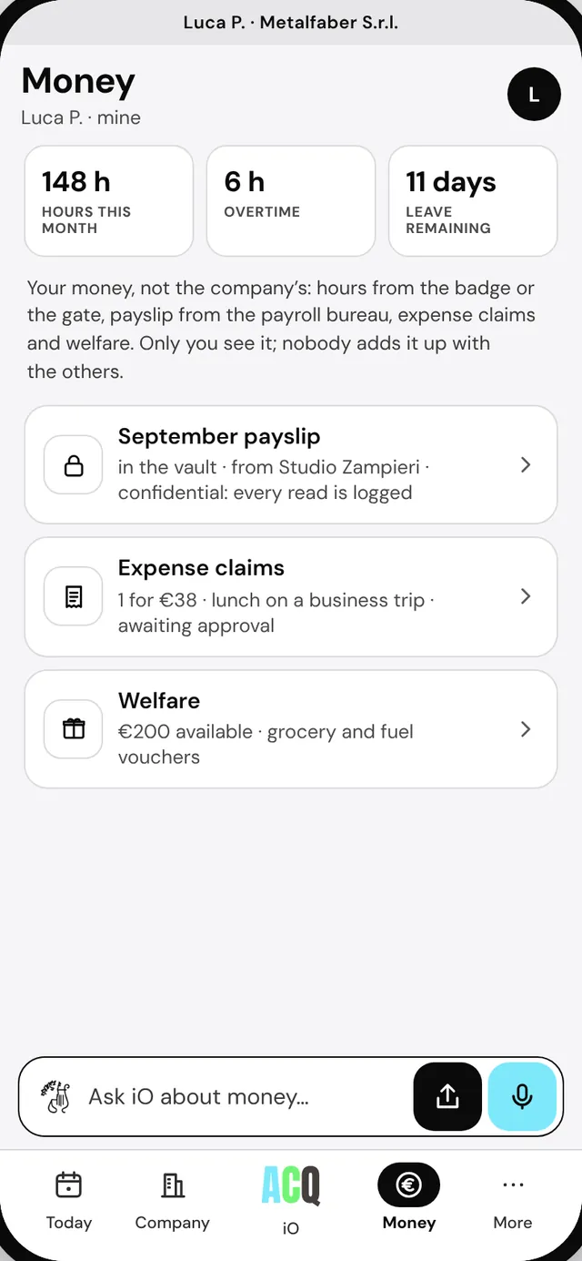 Money · Luca P. · “Mine”: hours this month, overtime, holidays, payslip, expense claims, benefits